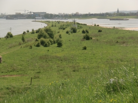 Doornenburg : Fort Pannerden, Blick auf die Gabelung des Rheins, links der Pannerdensch Kanaal, rechts die Waal.